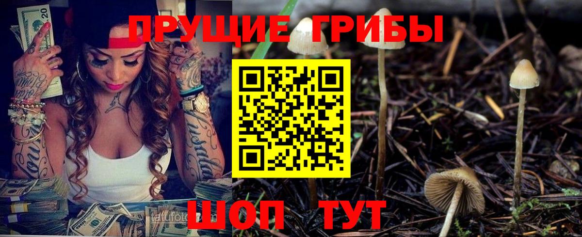 Галлюциногенные грибы прущие грибы  Галлюциногенные грибы мицелий  Вход с VPN  как найти наркотики  Киров 