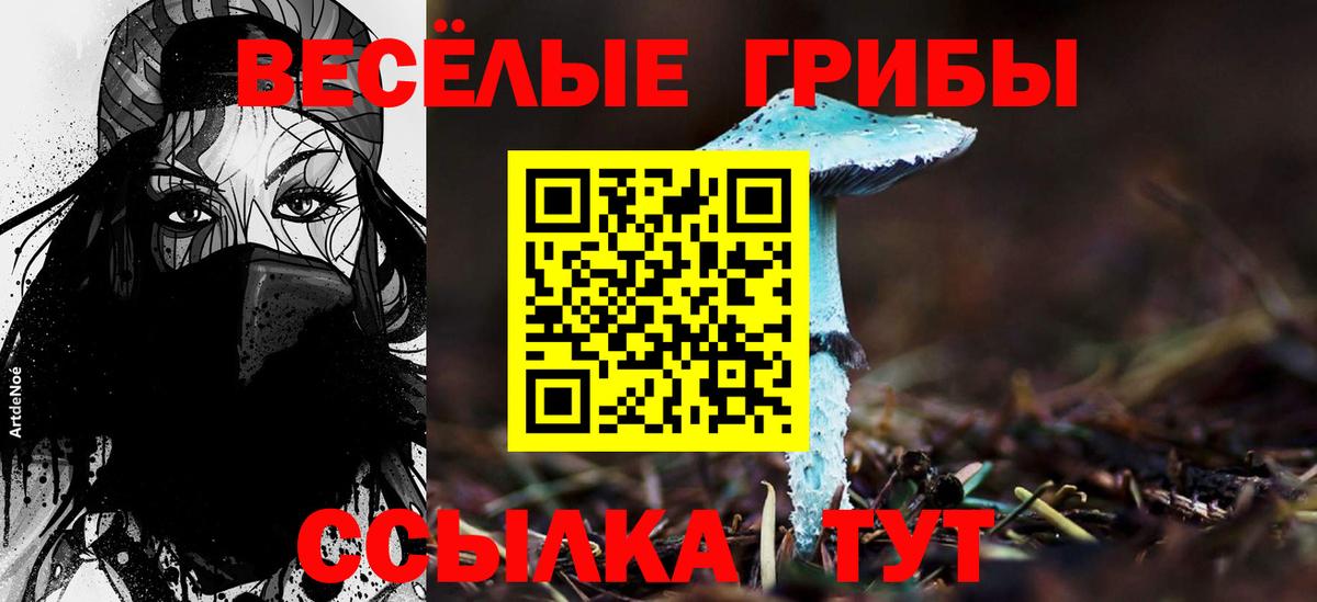 Галлюциногенные грибы прущие грибы Киров