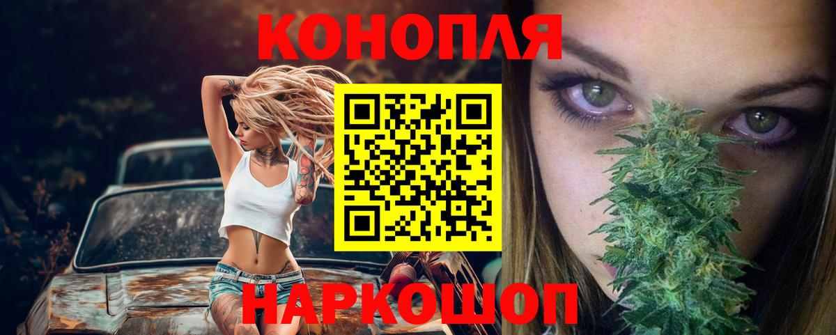 Бошки марихуана сатива Киров